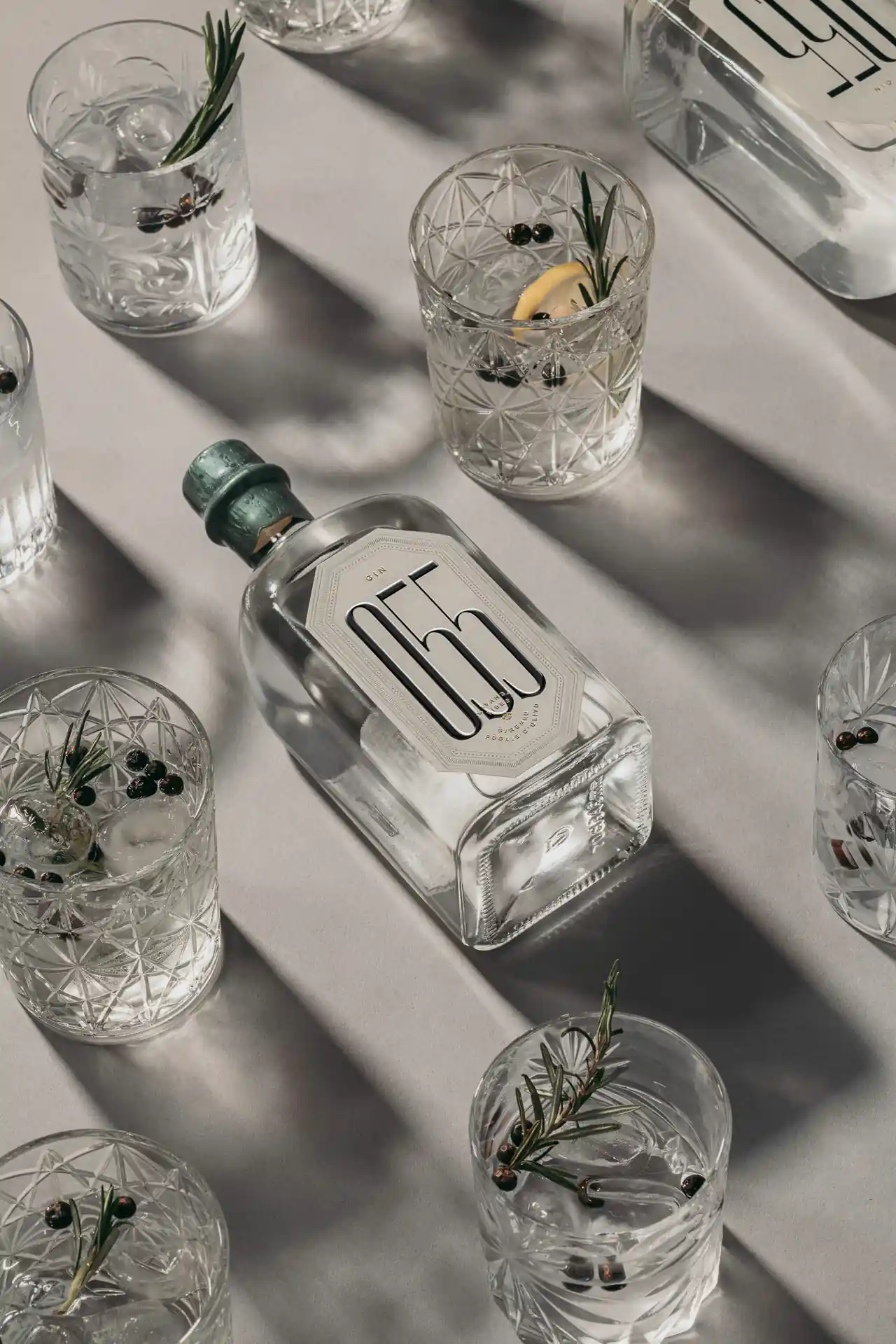Bottiglia di Gin still life