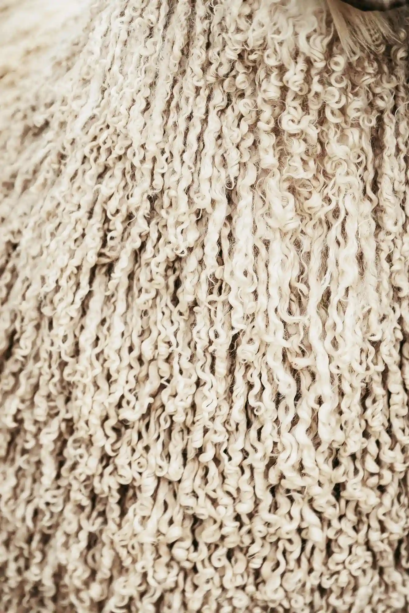 Mohair grezzo bianco
