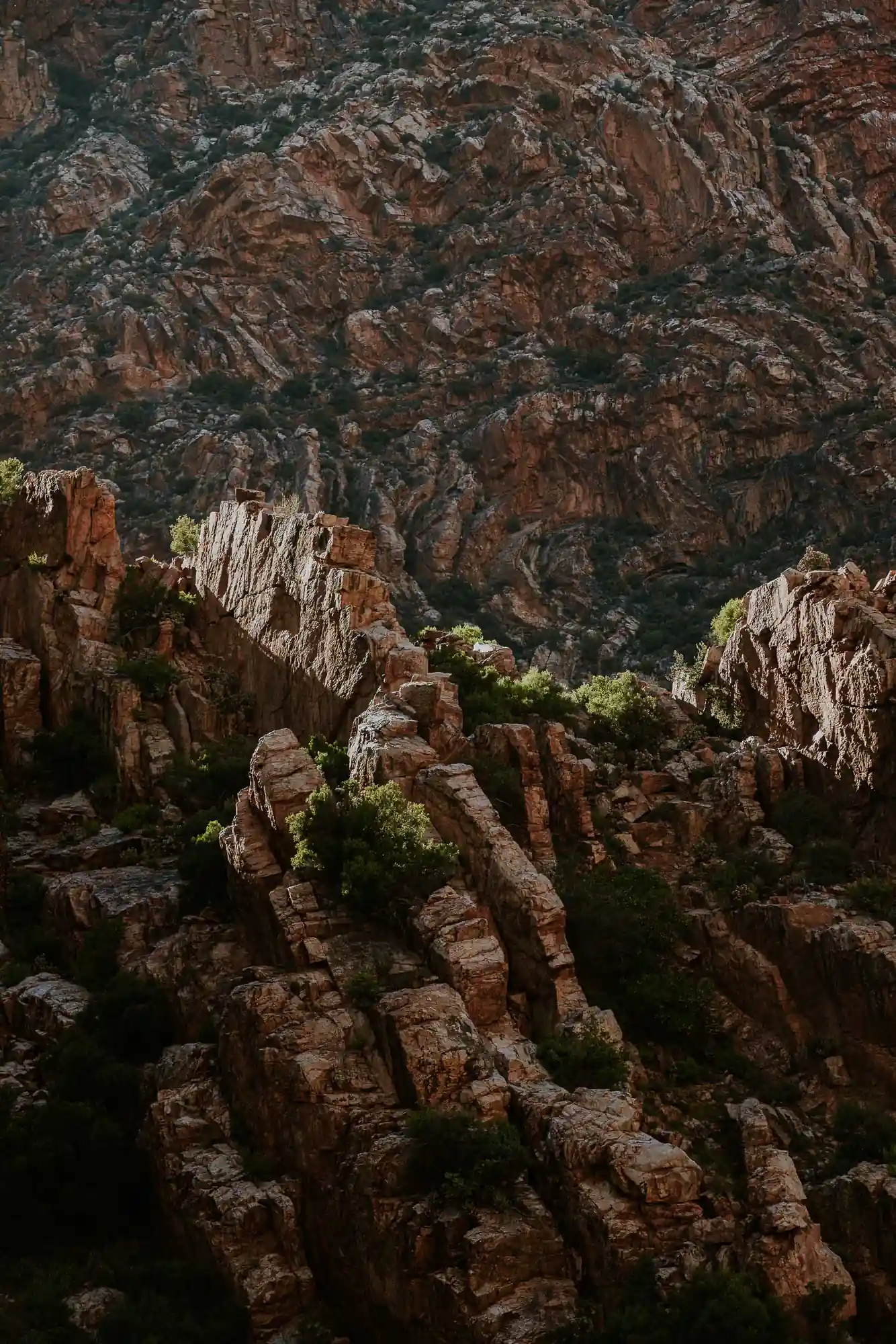 Fianco frastagliato di una montagna del Karoo