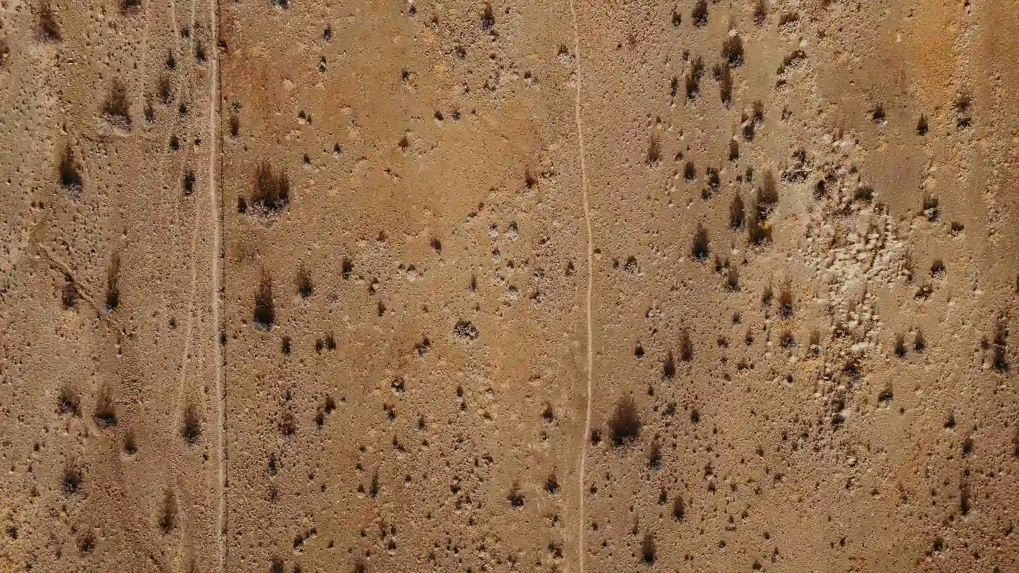 Strada nel deserto
